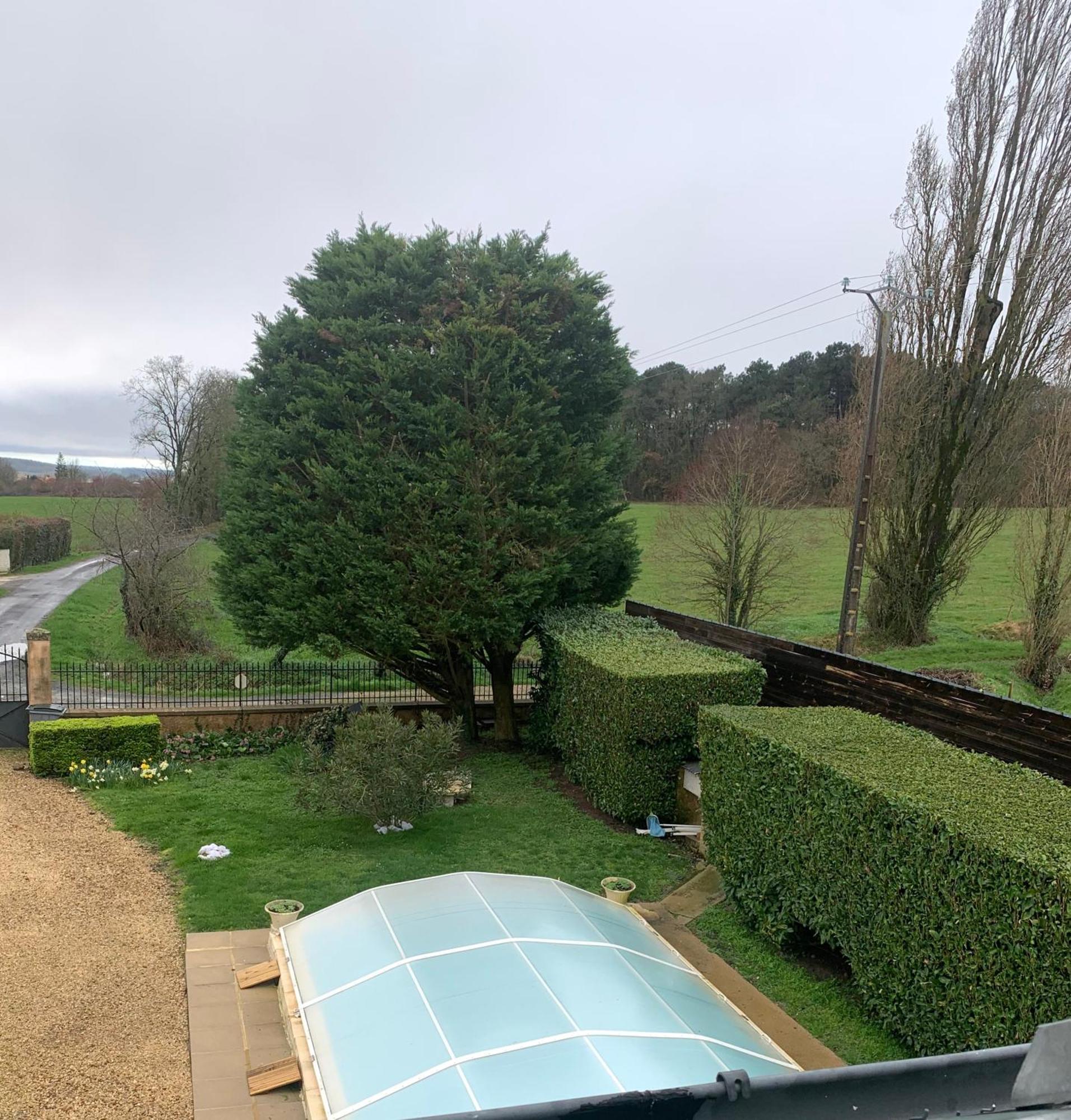 Bed and Breakfast La Costonnerie Leigne-sur-Usseau Экстерьер фото